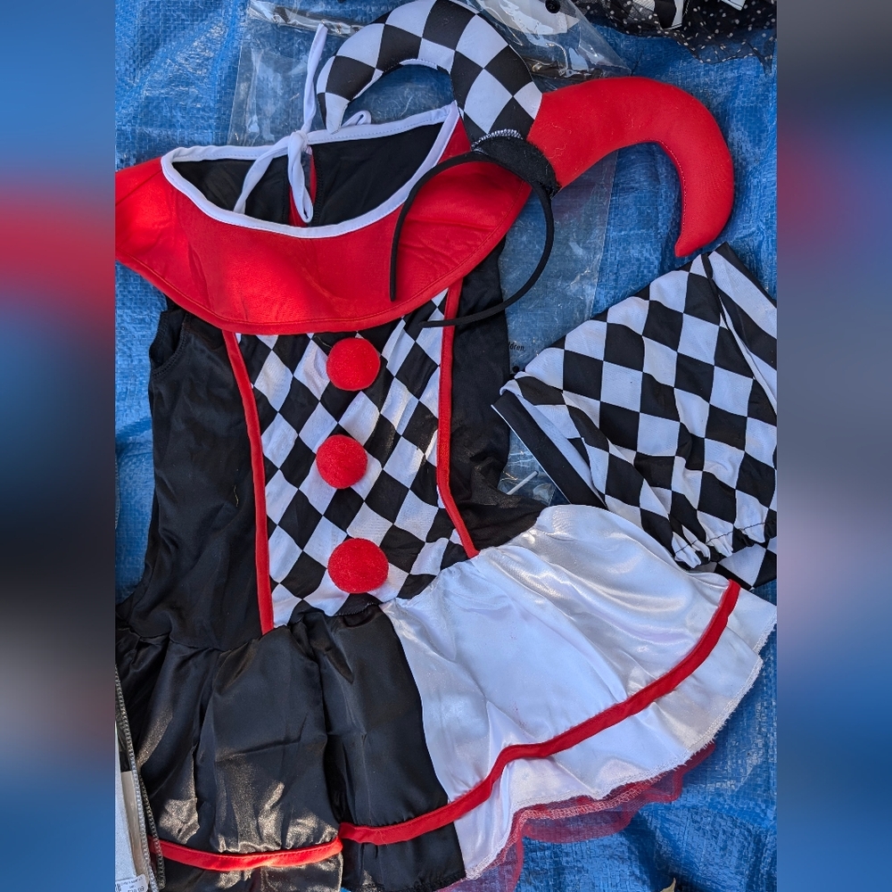 Girl's Court Jester Costume